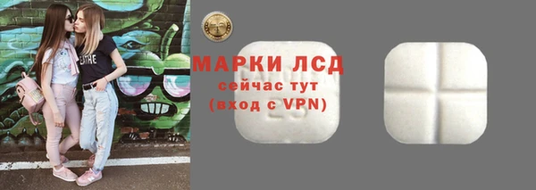 стаф Баксан