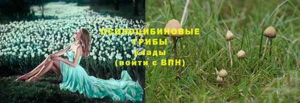Альфа ПВП Арсеньев